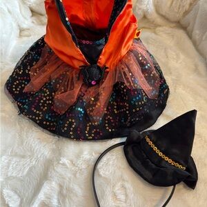 Build A Bear Sparkling Orange and Black Witch Costume BAB plushies